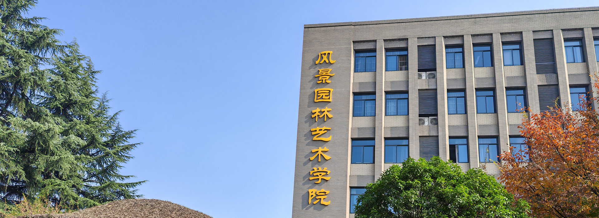 轮播图1
